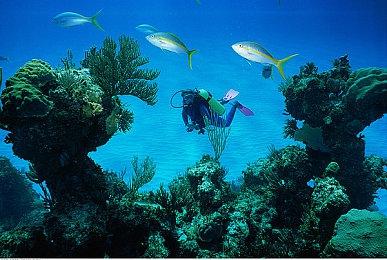 《奥力奥力世界》全新角色自定义系统 次世代支持120帧